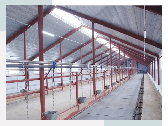 Строительство коровников в Копейске от 616 руб.