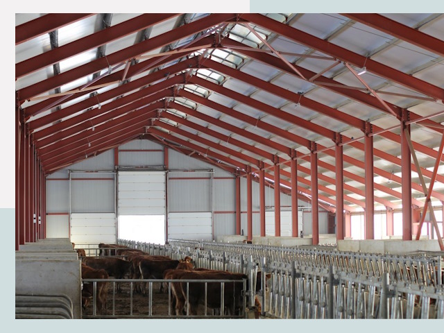 Строительство коровников в Копейске